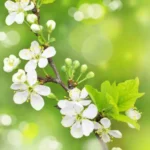 3D Flower Customized Wall Covering Design | Bring Nature's Elegance Indoors - 300 - Image 2