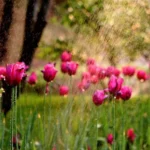 3D Flower Customized Wall Covering Design | Bring Nature's Elegance Indoors - 310 - Image 2