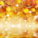 3D Flower Customized Wall Covering Design | Bring Nature's Elegance Indoors - 325 - Image 2