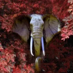 Transform Your Walls with Latest Flowers Design Customized Wallpaper (Print on Demand) - 40